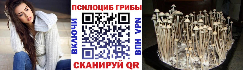 Псилоцибиновые грибы мухоморы  нарко площадка формула  Разумное  что такое наркотик 